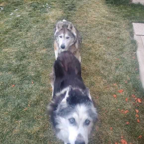 Meet your Posher, Charleen - Picture 12 of 13